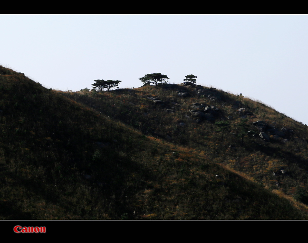 IMG_0498_副本.jpg