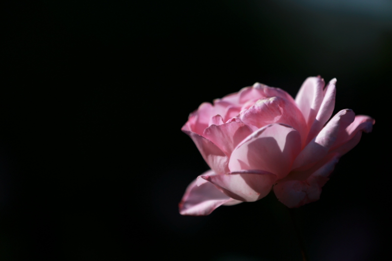 4B8A3739_副本.jpg