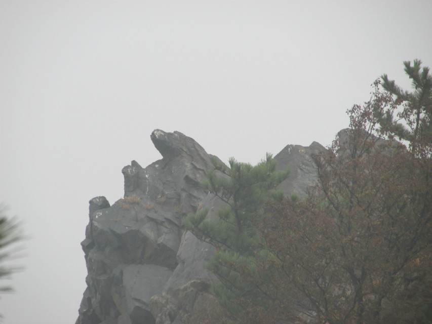 QQ图片20131103113415.jpg