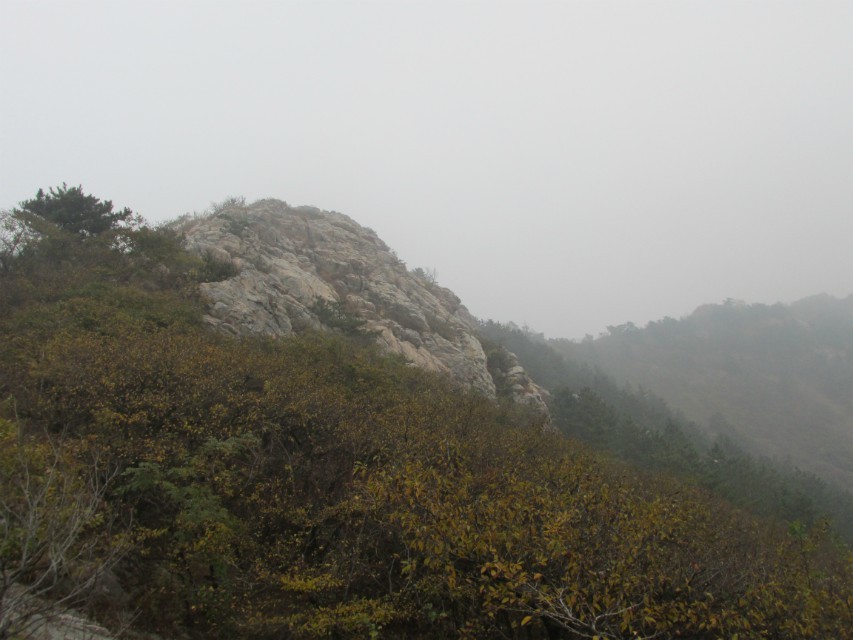 QQ图片20131103113736.jpg