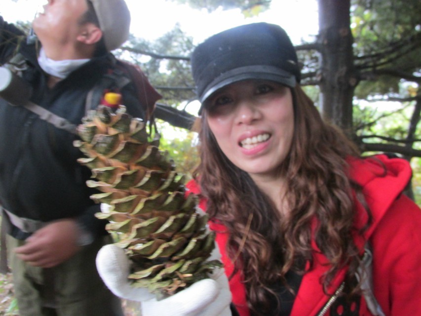 QQ图片20131103113426.jpg