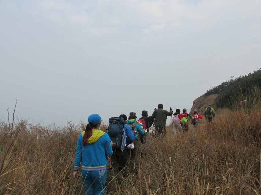 QQ图片20131104142456.jpg