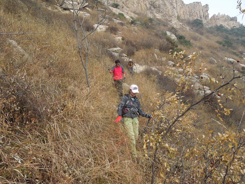DSCN8476.JPG