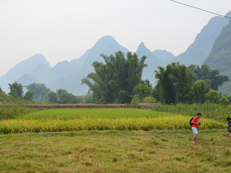 PhotoCap_267.jpg