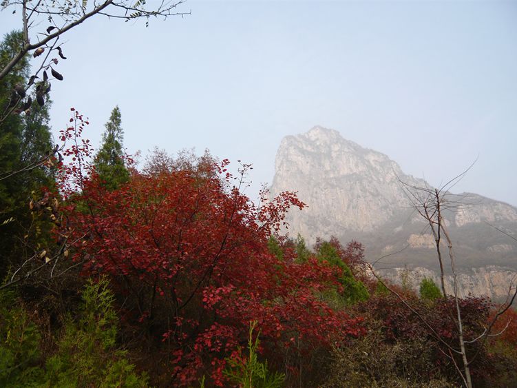 P1060916.JPG
