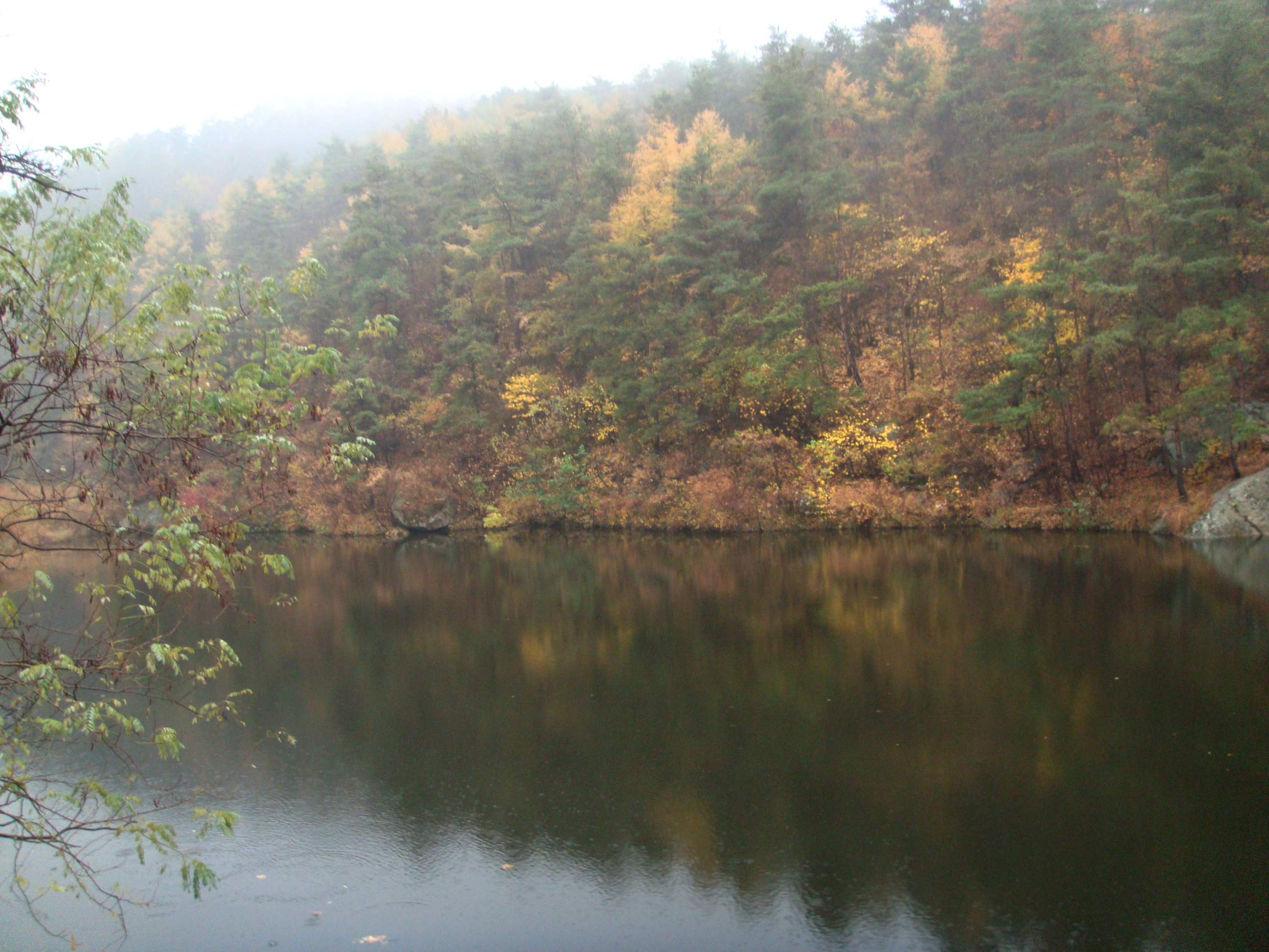 DSC06631.jpg