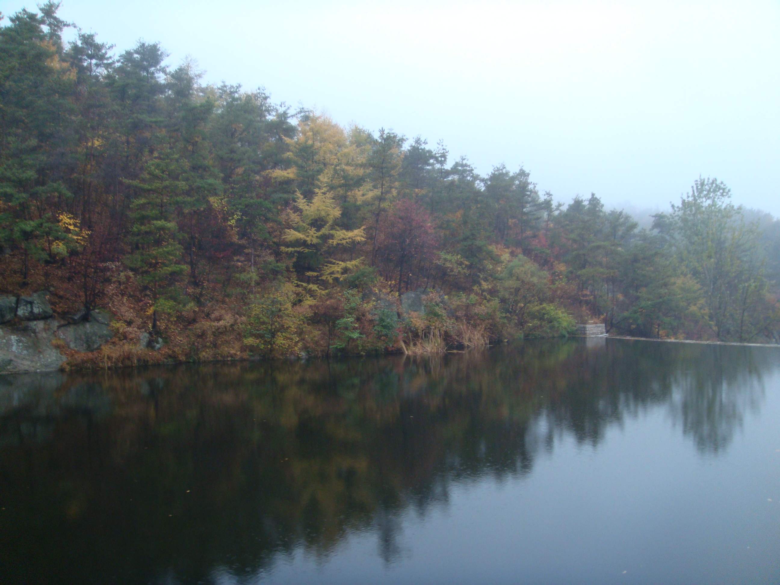 DSC06635.jpg