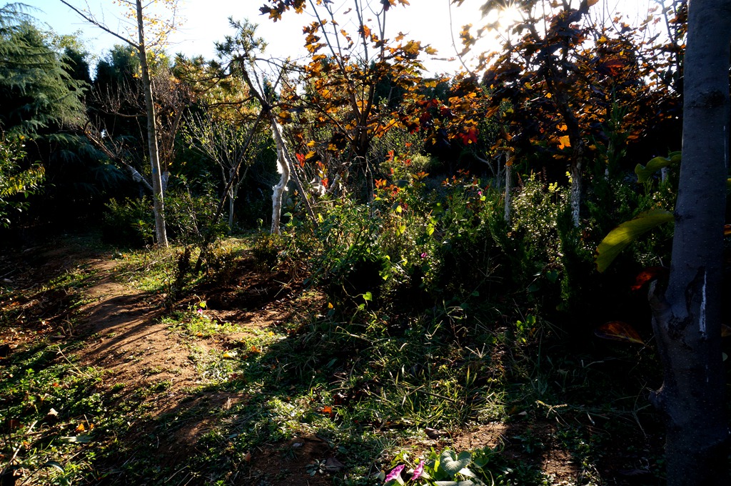 _111114.jpg