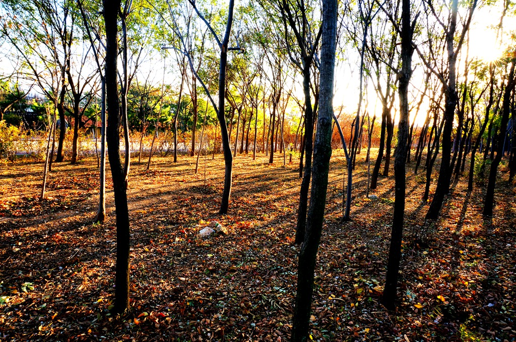 _111117.jpg