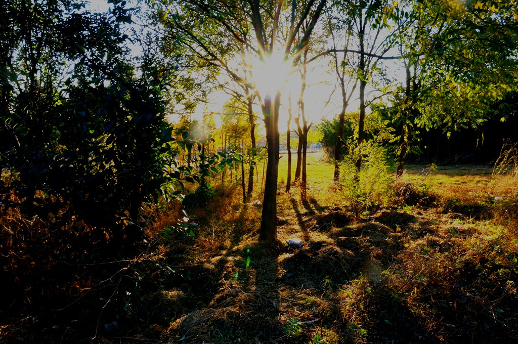 _111118.jpg