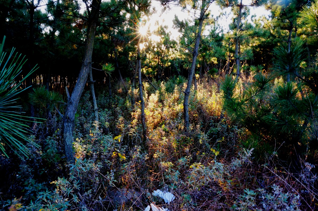 _111119.jpg