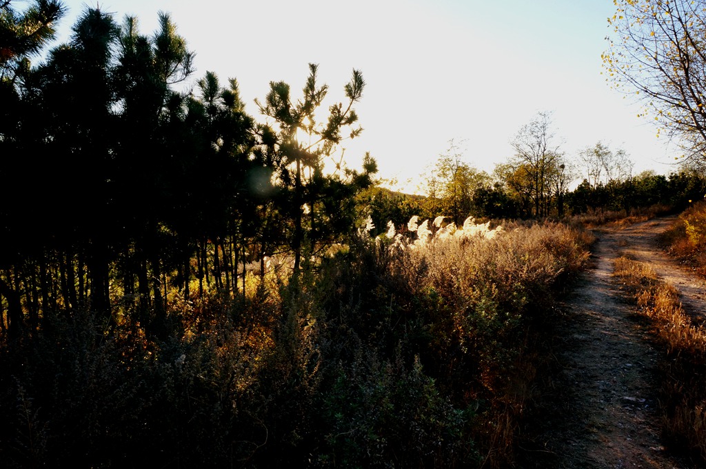 _111120.jpg