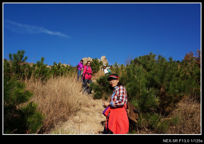 dsc03142_conew1.jpg