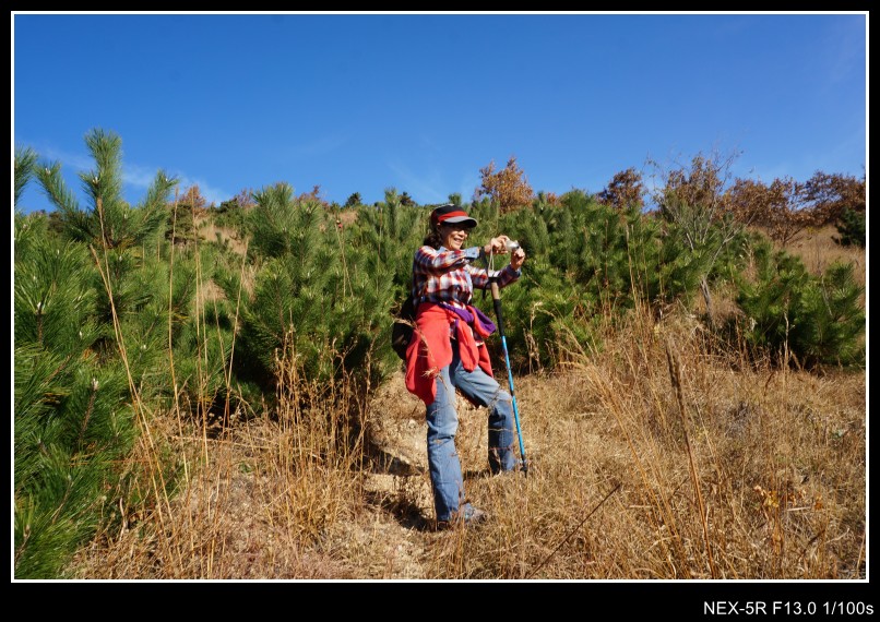 dsc03146_conew1.jpg
