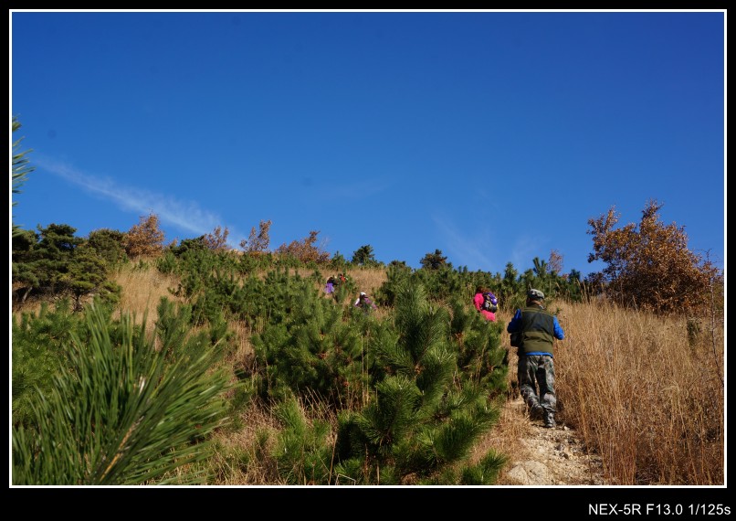 dsc03147_conew1.jpg