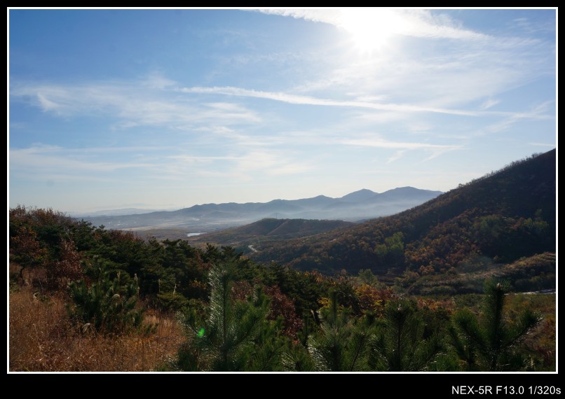 dsc03151_conew1.jpg