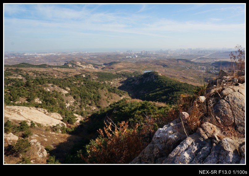 dsc03169_conew1.jpg