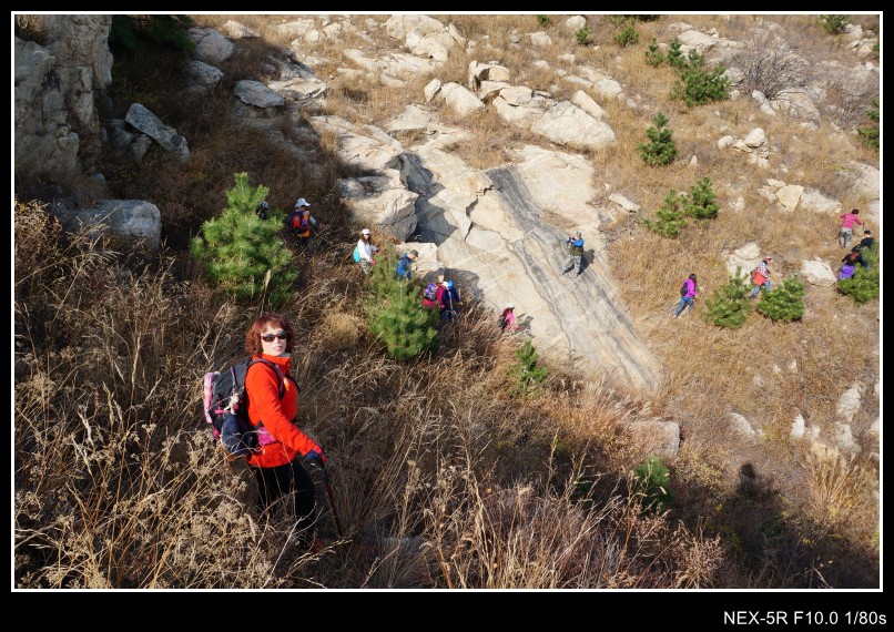 dsc03290_conew1.jpg