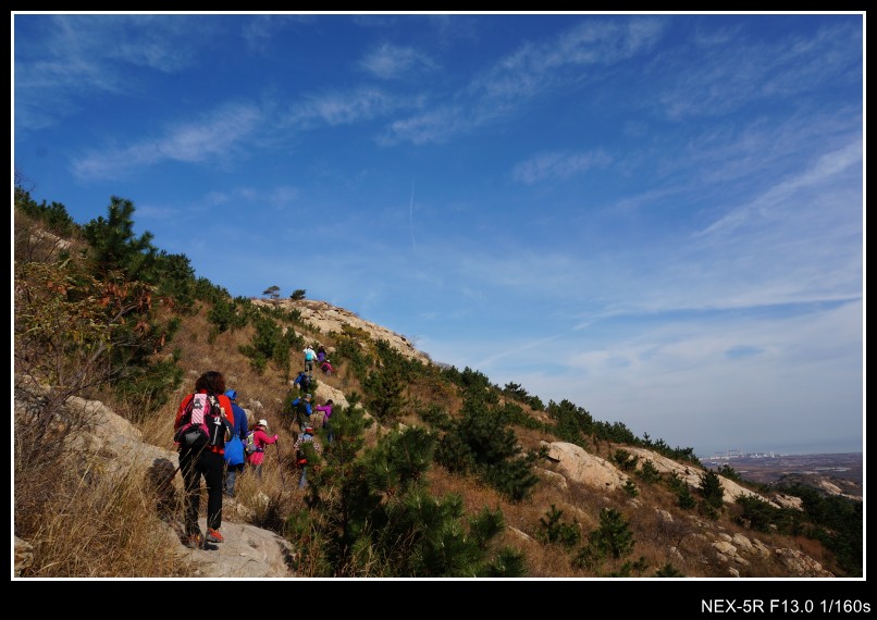 dsc03296_conew1.jpg