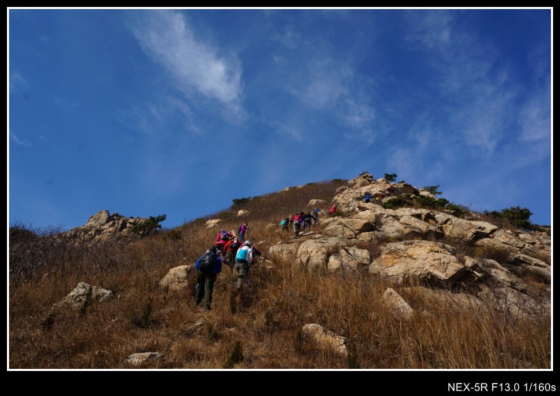 dsc03380_conew1.jpg
