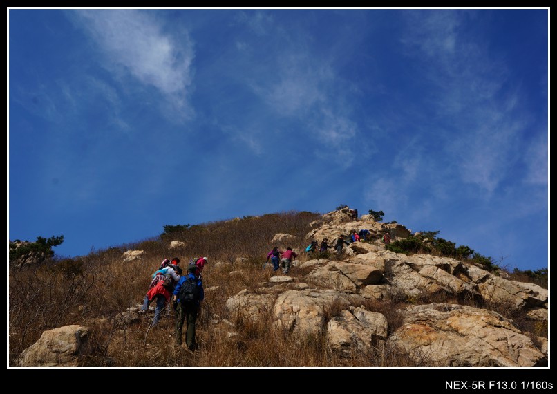 dsc03382_conew1.jpg