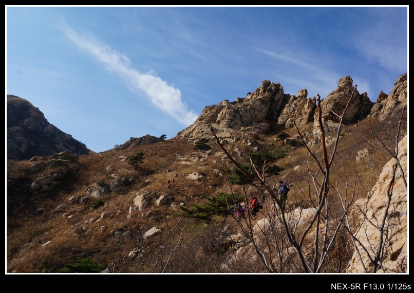 dsc03421_conew1.jpg