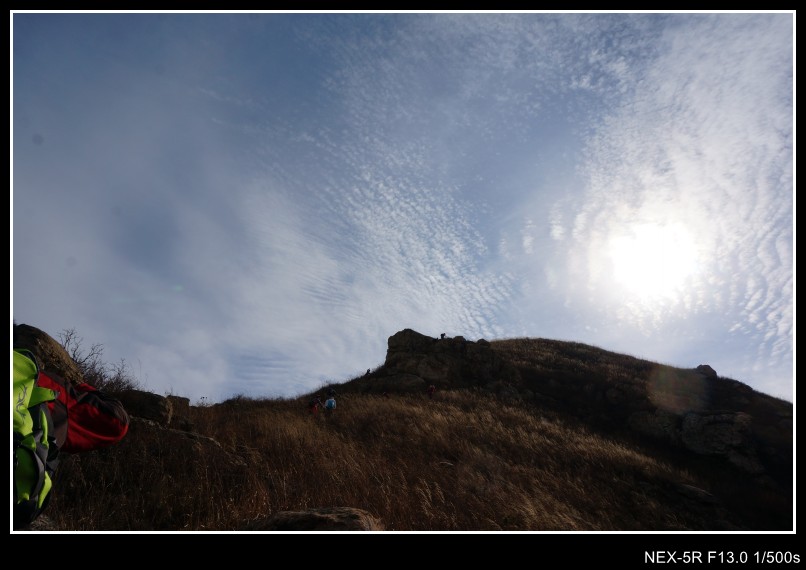 dsc03474_conew1.jpg