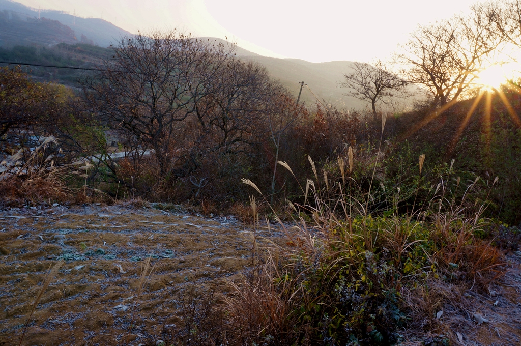 _1115024.jpg