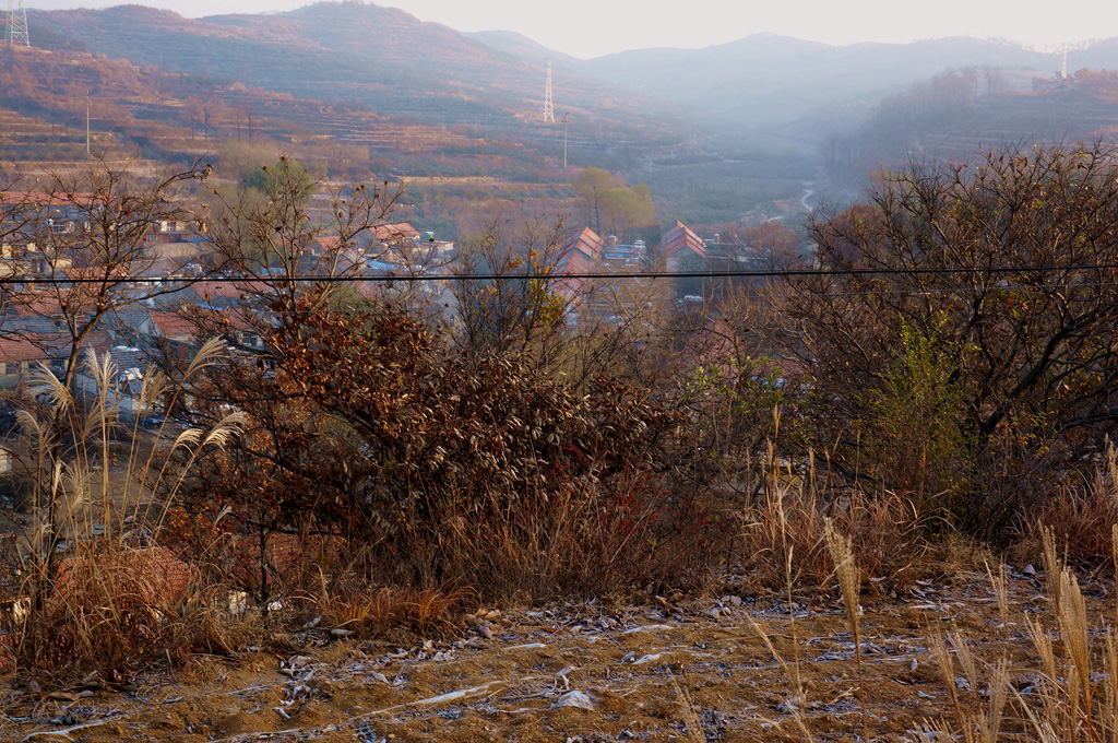 _1115027.jpg