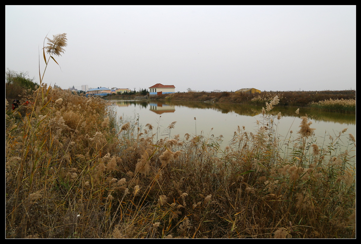 IMG_0062_副本.jpg