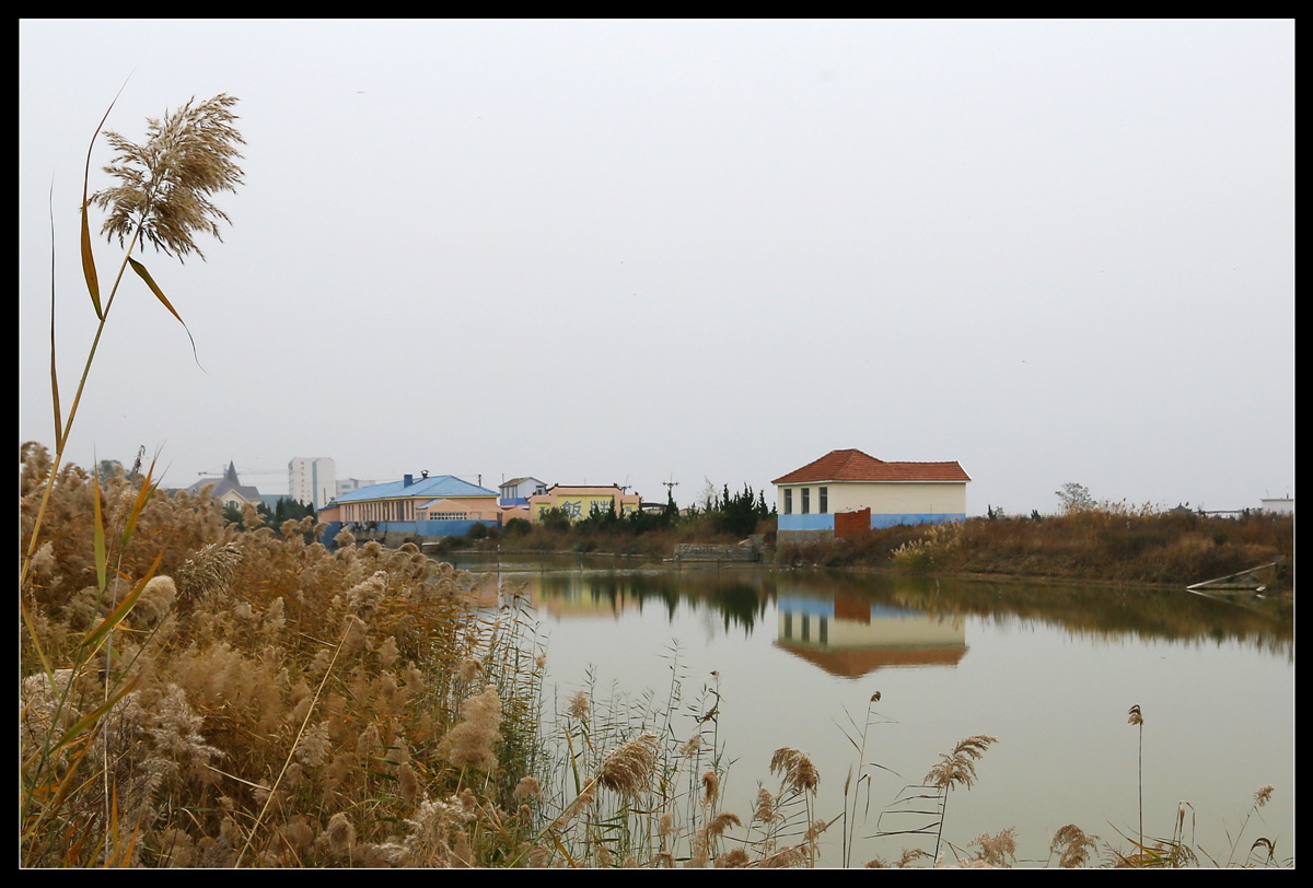 IMG_0063_副本.jpg