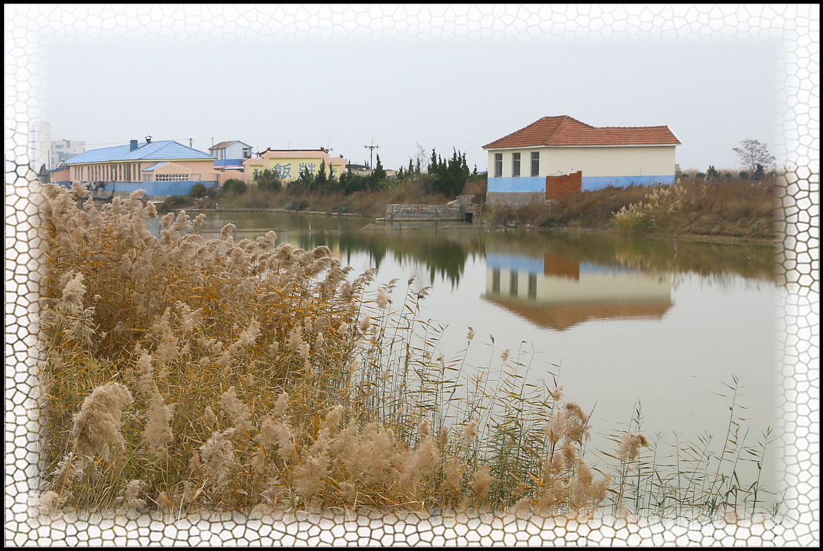 IMG_0064_副本.jpg