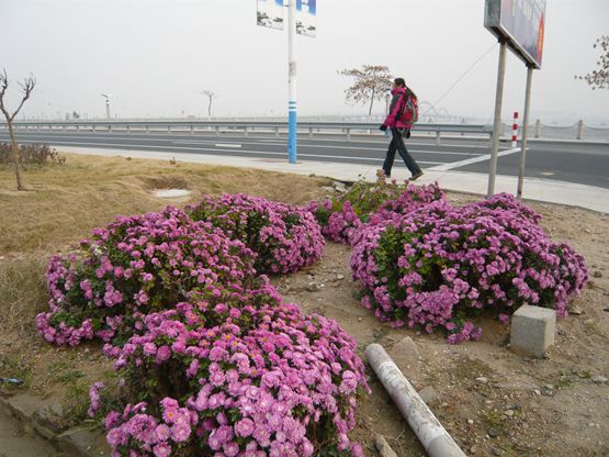 P1070130.JPG
