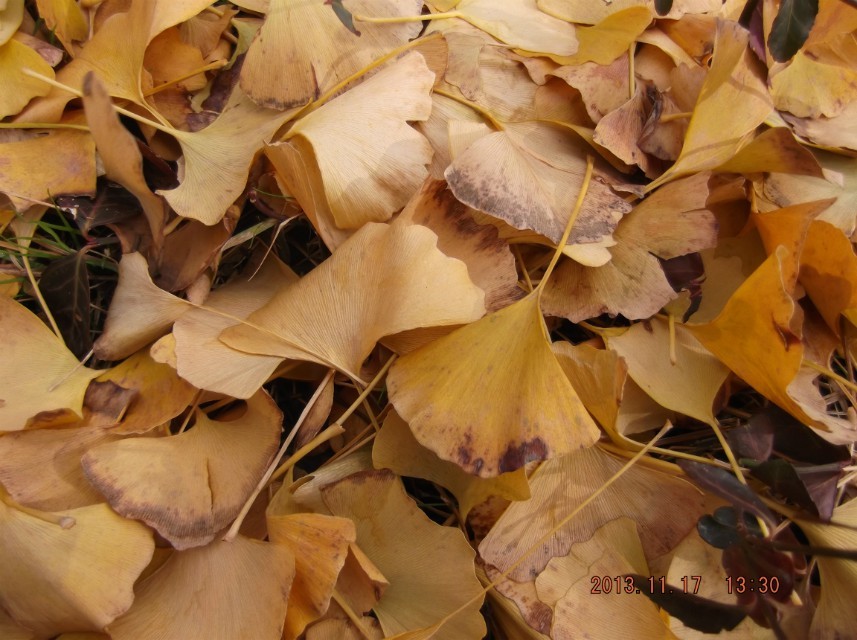 psbCAQWZ1D7.jpg