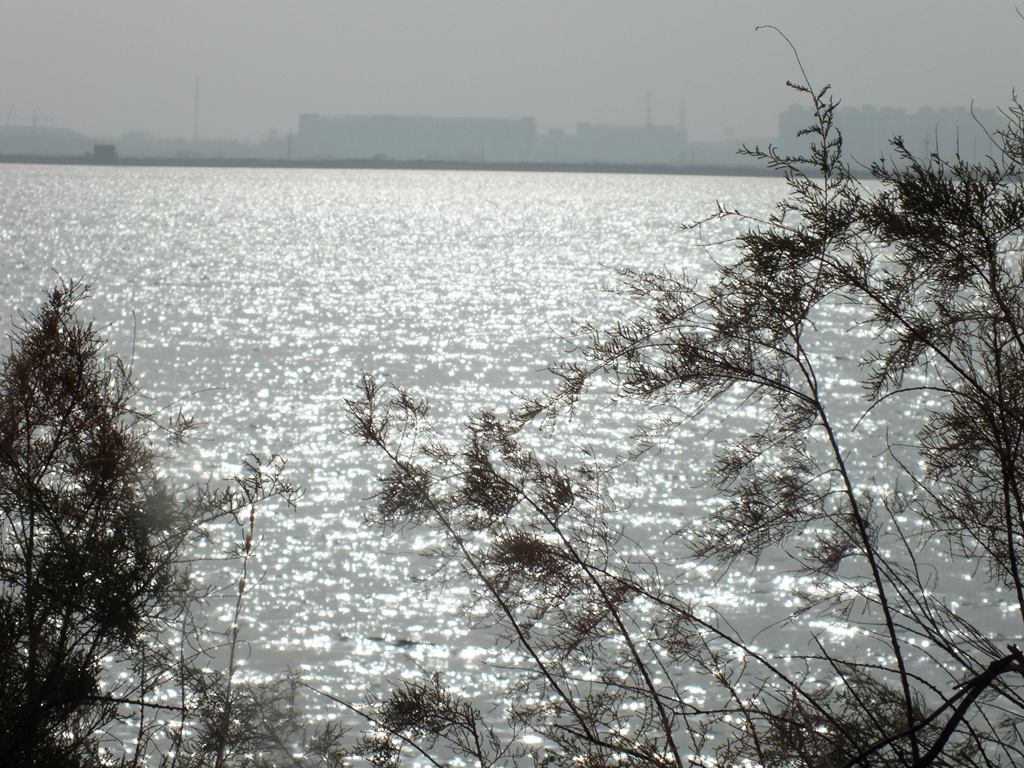 DSCF9519.jpg