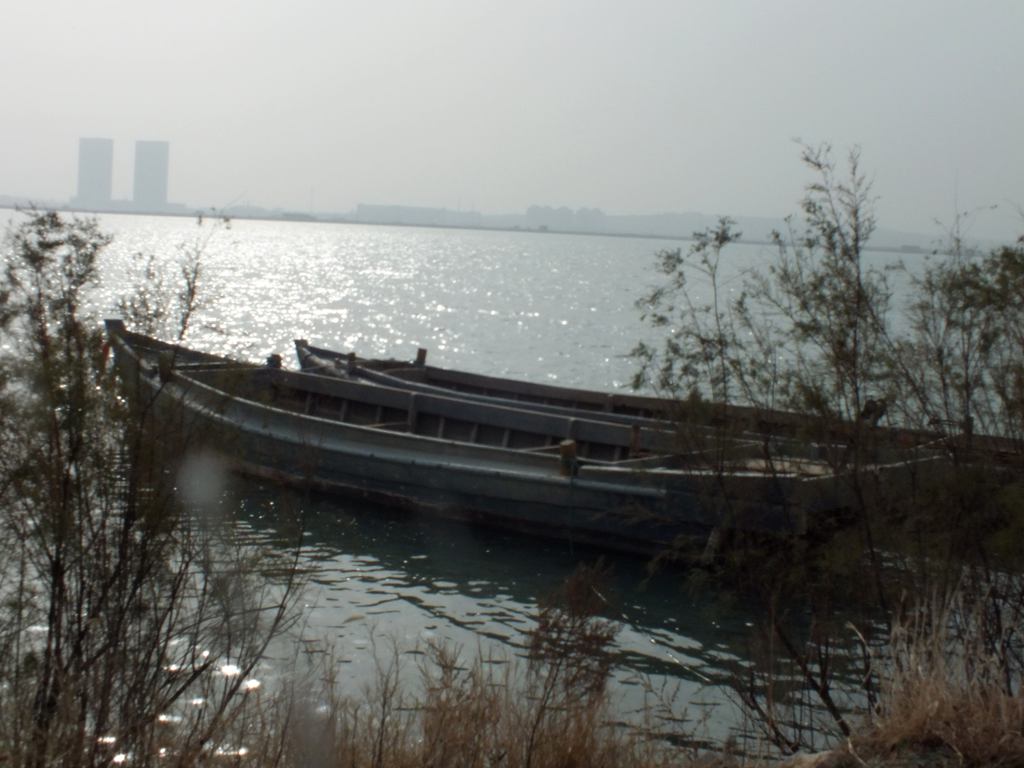 DSCF9525.jpg