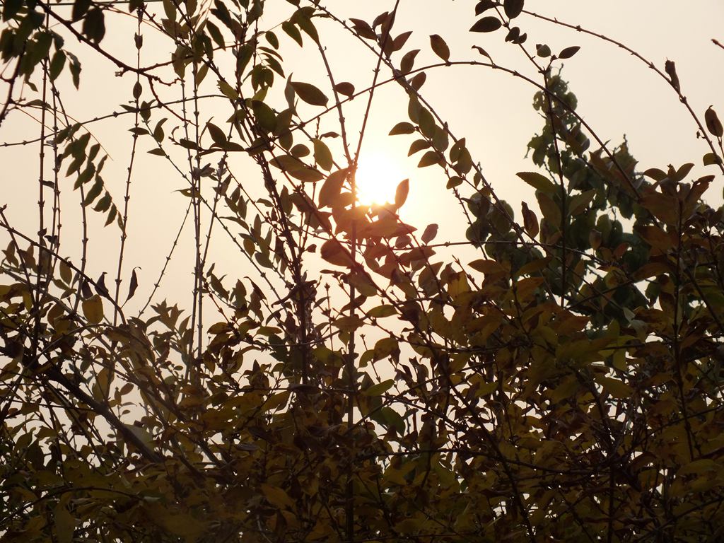 DSCF9883.jpg
