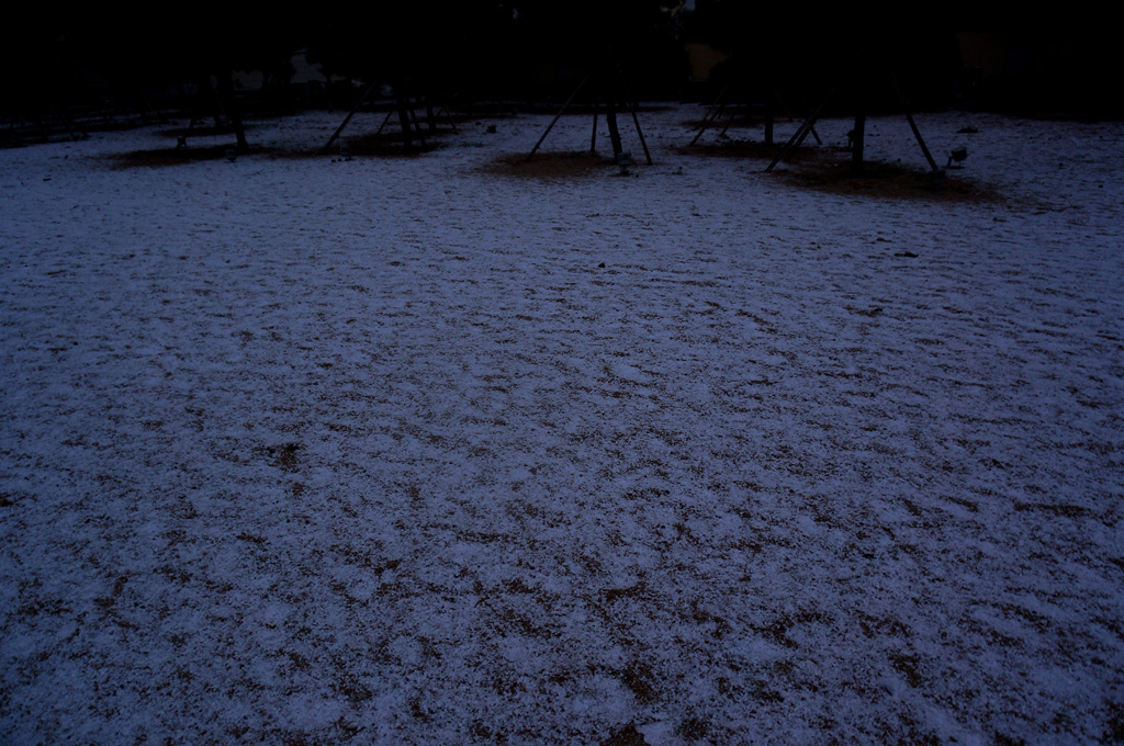 _111801.jpg