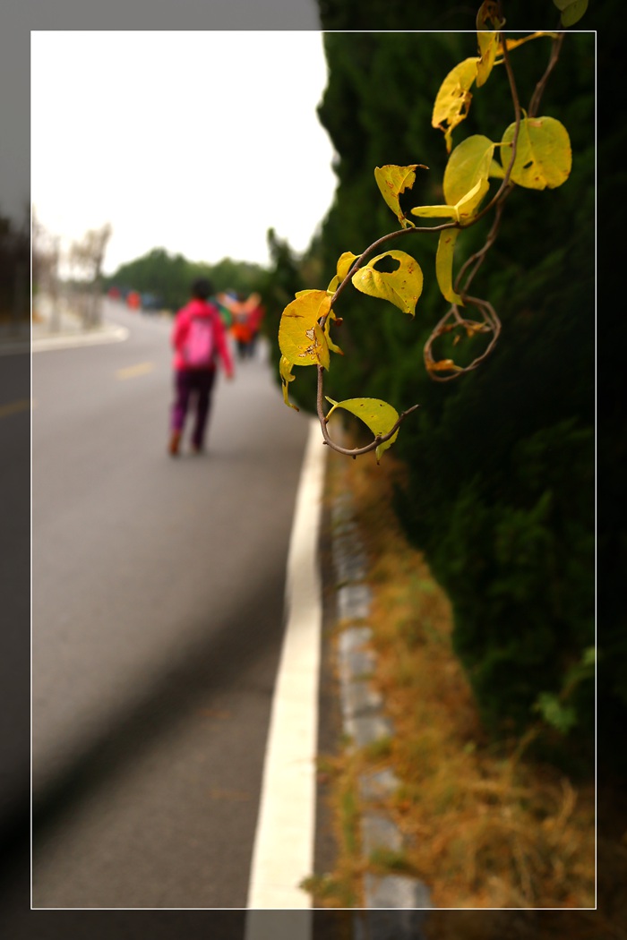 IMG_0148_副本.jpg