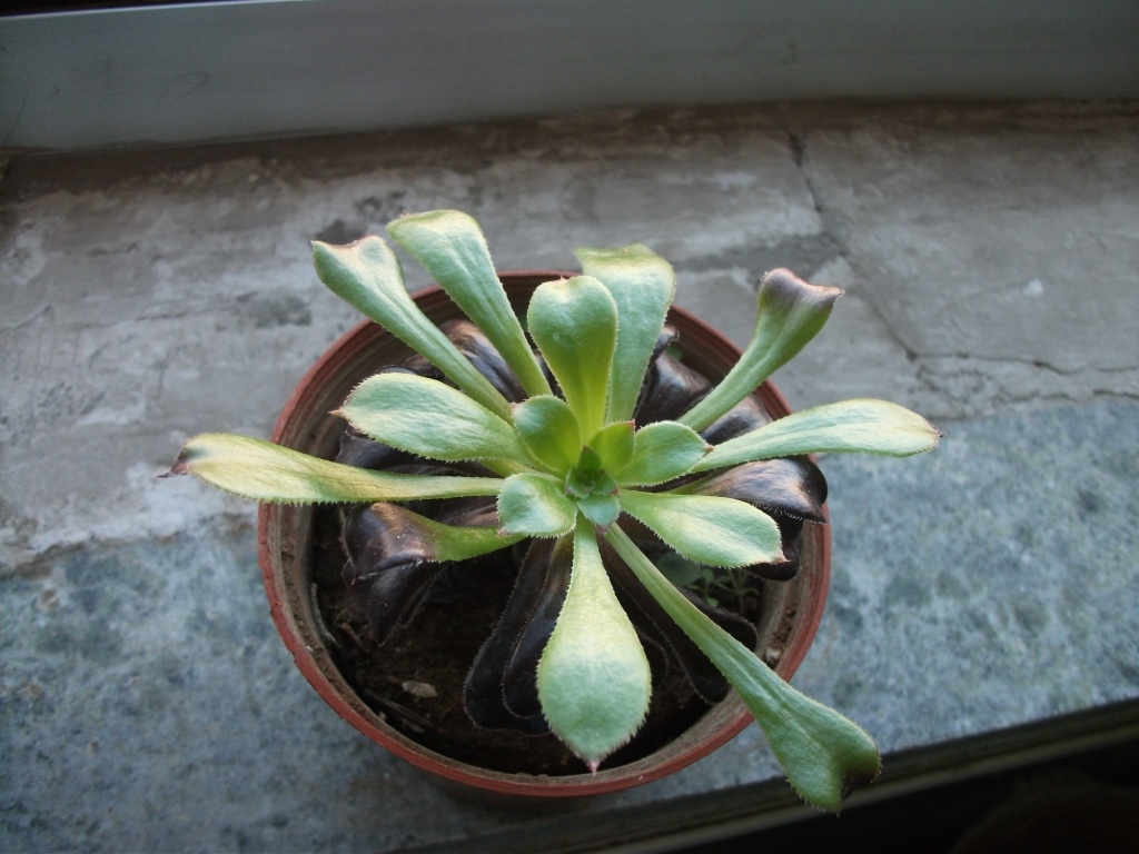 DSCF4570.JPG