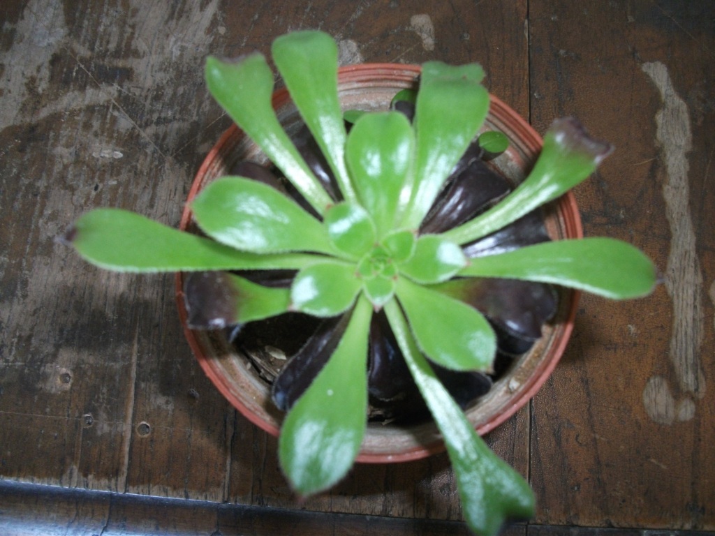 DSCF4571.JPG