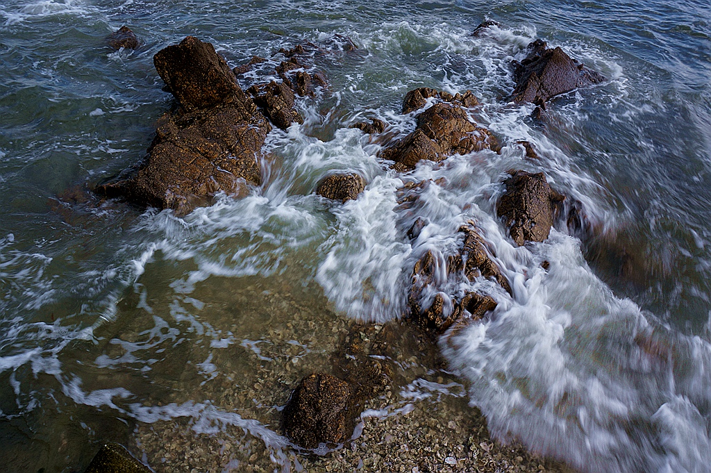 _1101918.jpg