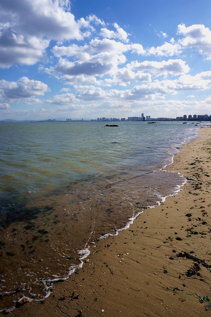 _1101919.jpg