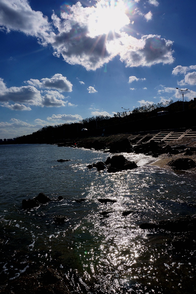 _1101920.jpg