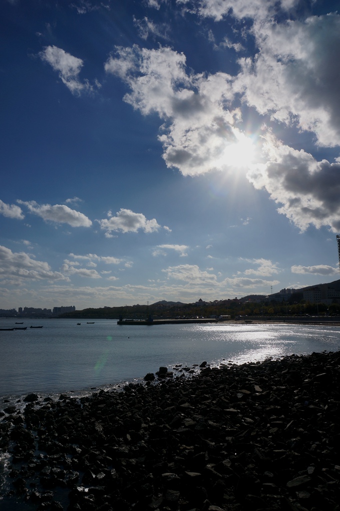 _1101924.jpg