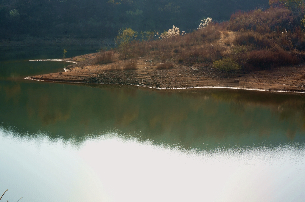 _1115048.jpg