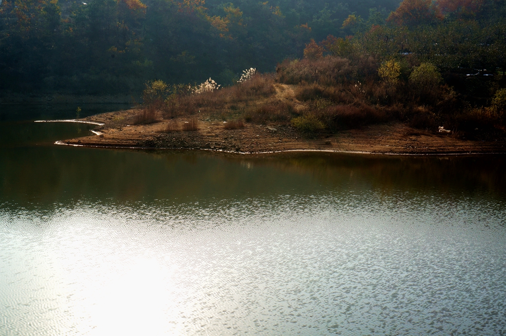_1115051.jpg