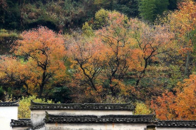 DSC00282(1)_副本.jpg