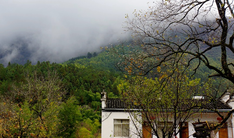 DSC00258_副本_副本.jpg