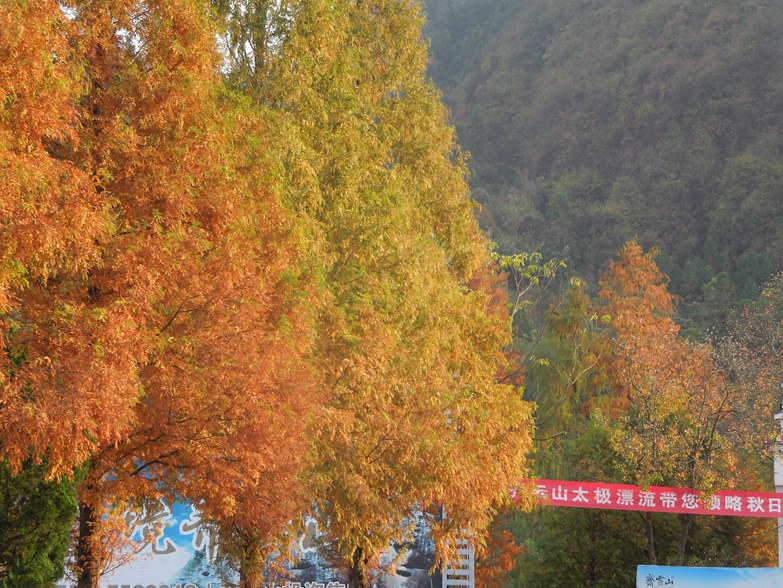 齐云秋色.jpg